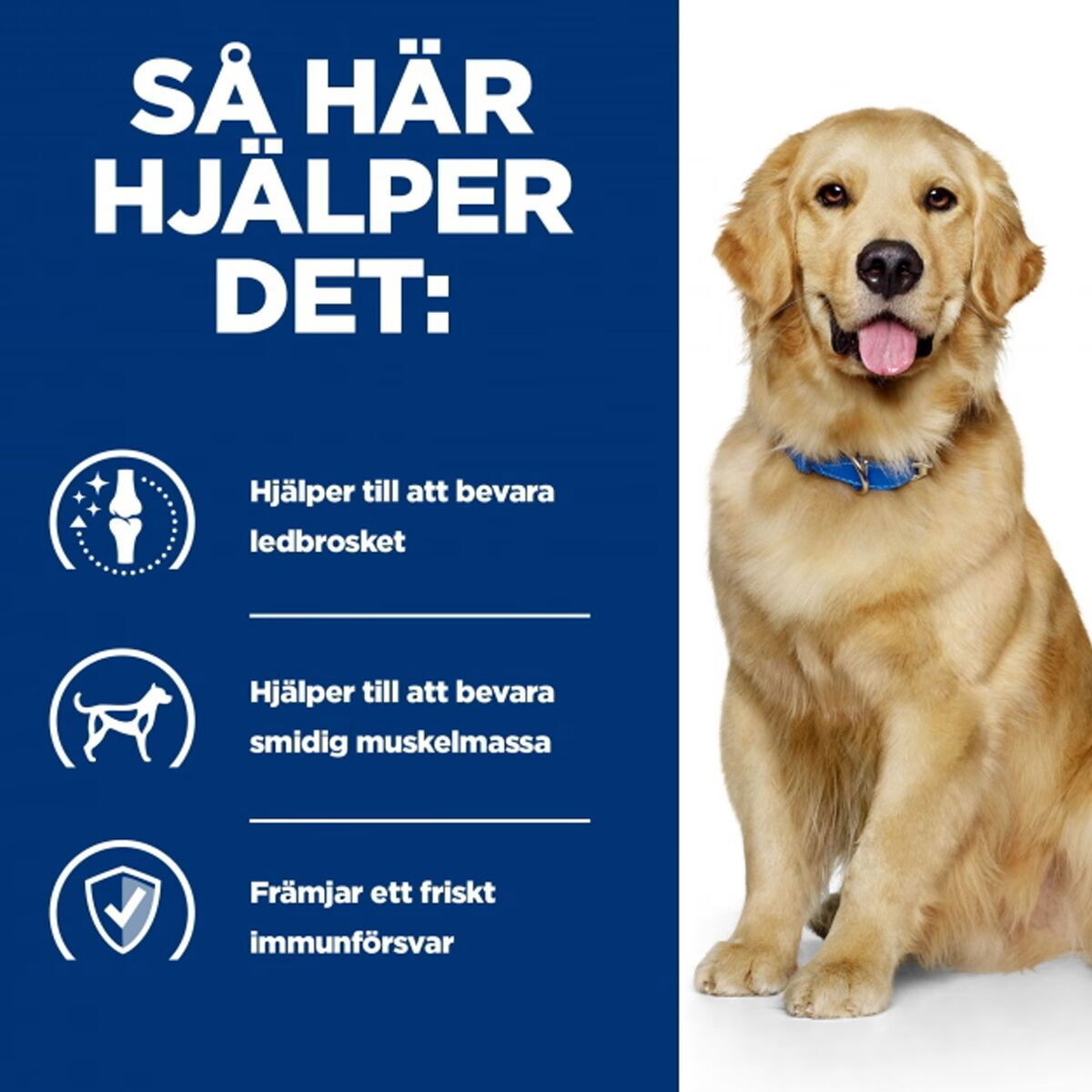 Hill's Prescription Diet Canine j/d Mobility Chicken 2x12 kg