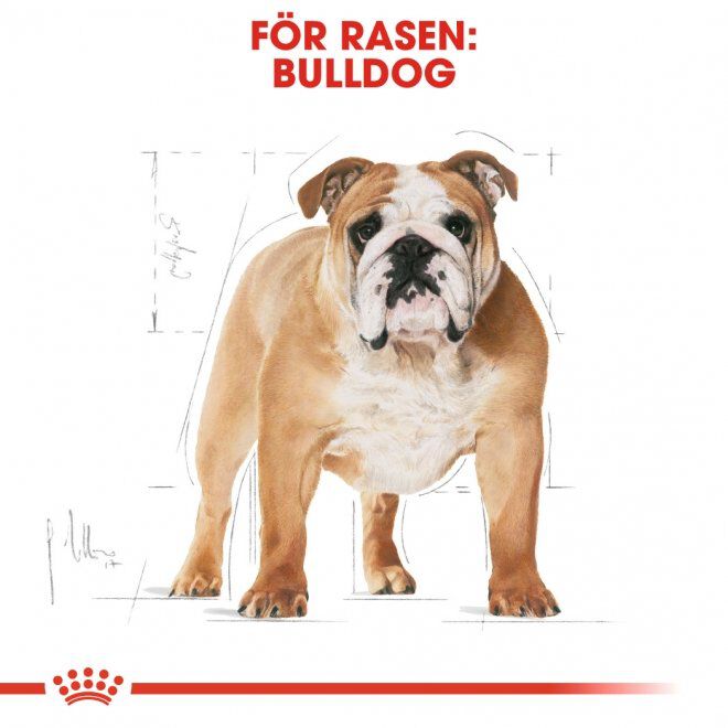 Royal Canin Bulldog Adult torrfoder för hund