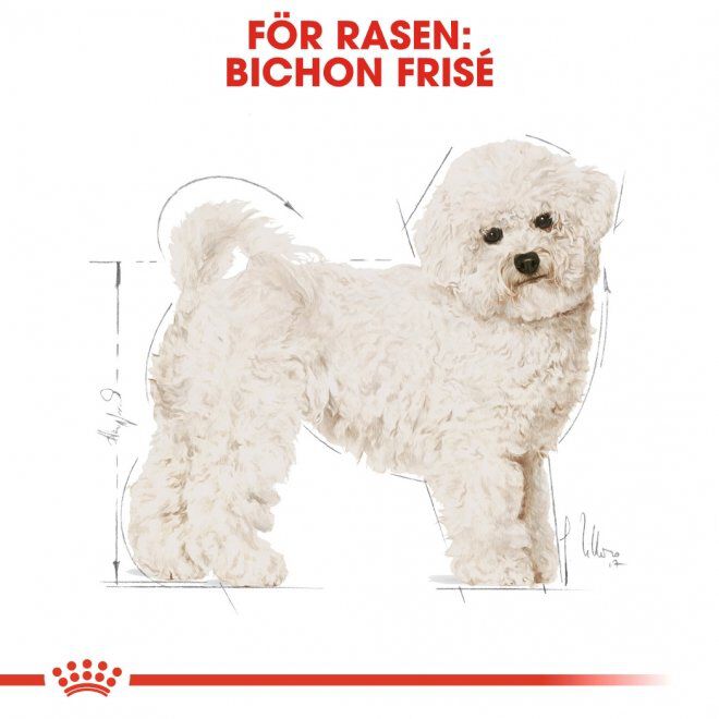 Royal Canin Bichon Frisé Adult torrfoder för hund