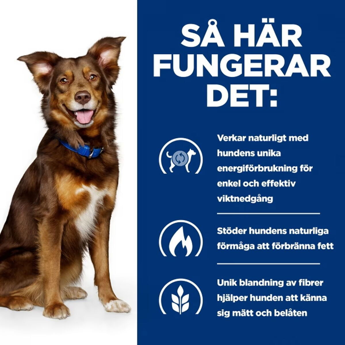 Hill's Prescription Diet Canine Metabolic Weight Loss & Maintenace Chicken 2x12 kg