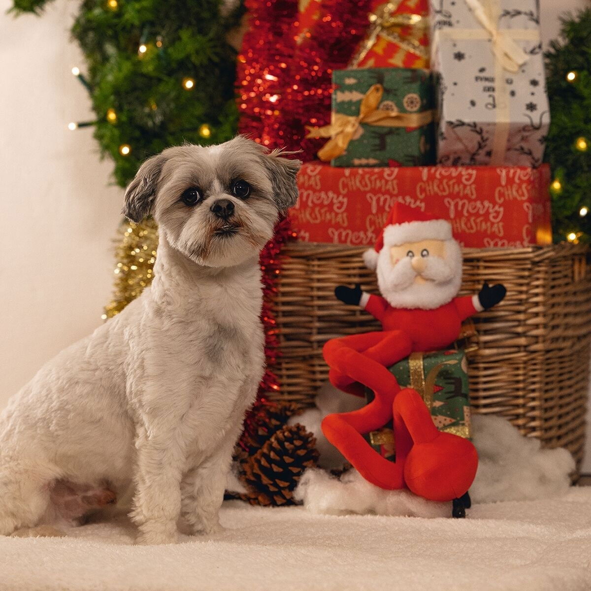 Beeztees Santa Spiral