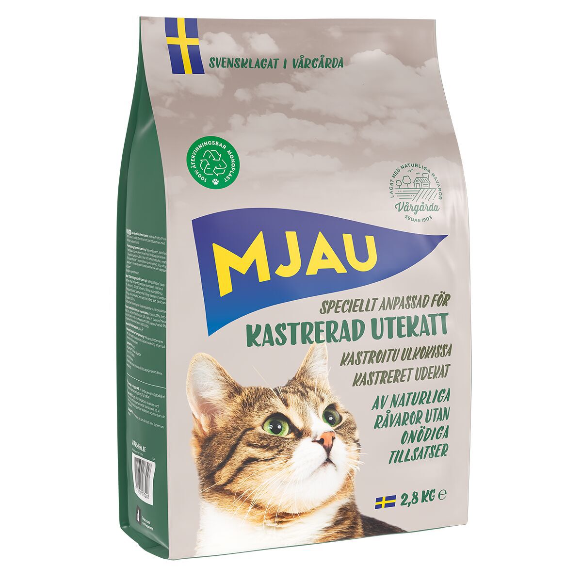 Mjau Kastrerad Utekatt