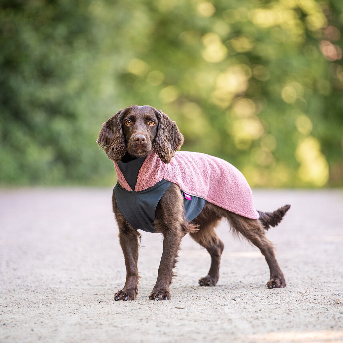 Pomppa Polar Fleecetäcke till Hund Mallow