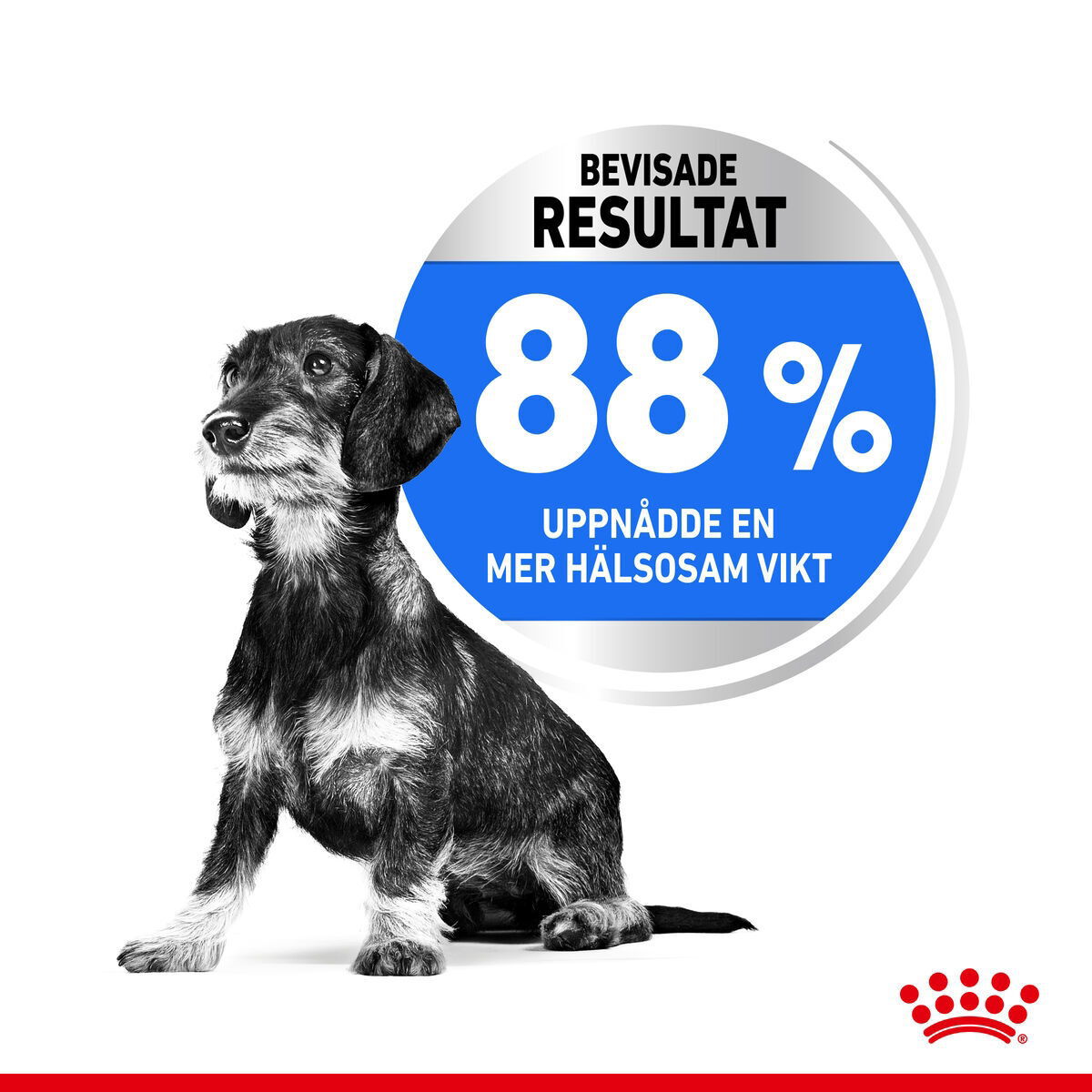 Royal Canin Light Weight Care Mini Adult torrfoder för hund