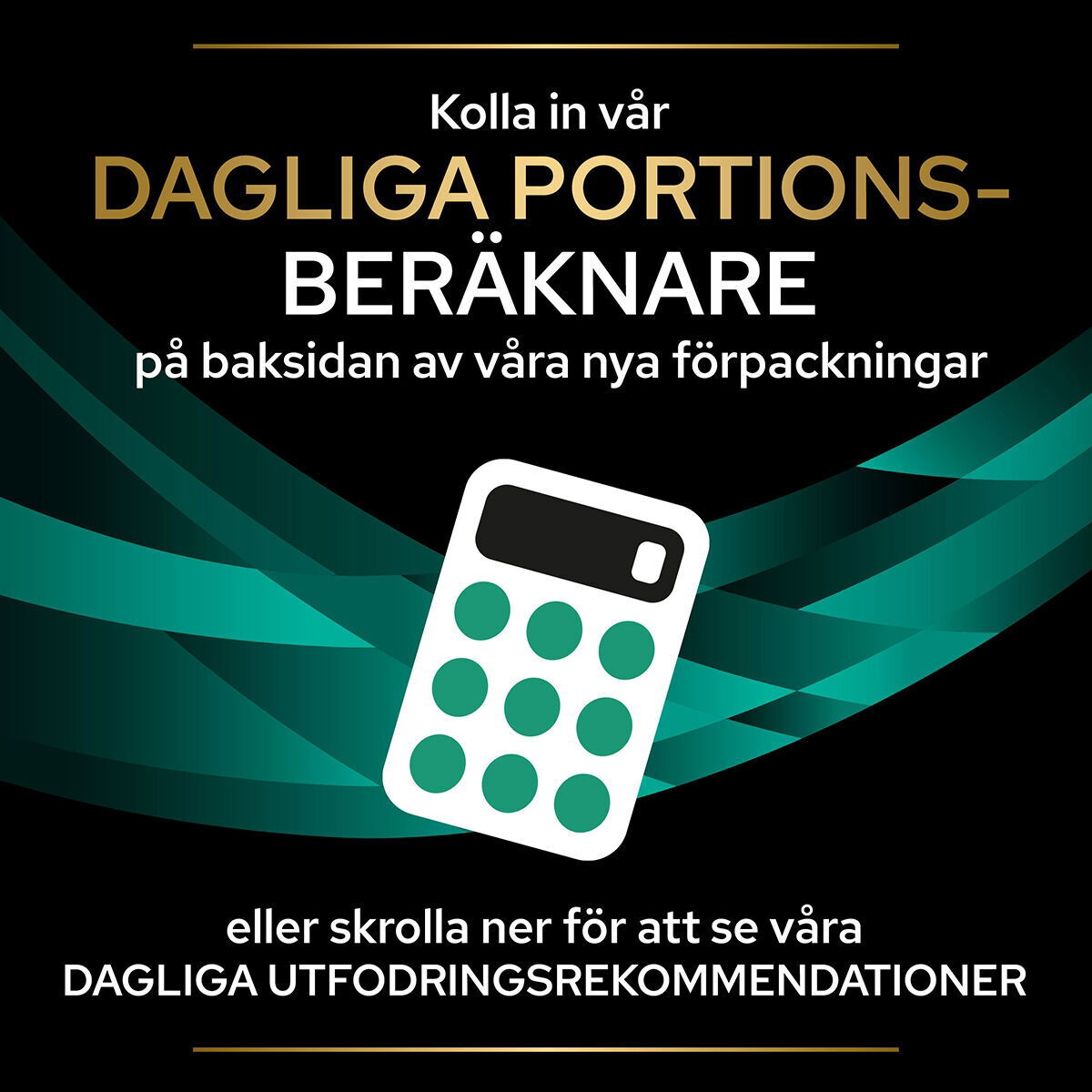 PPVD FELINE EN Chicken 10x85g