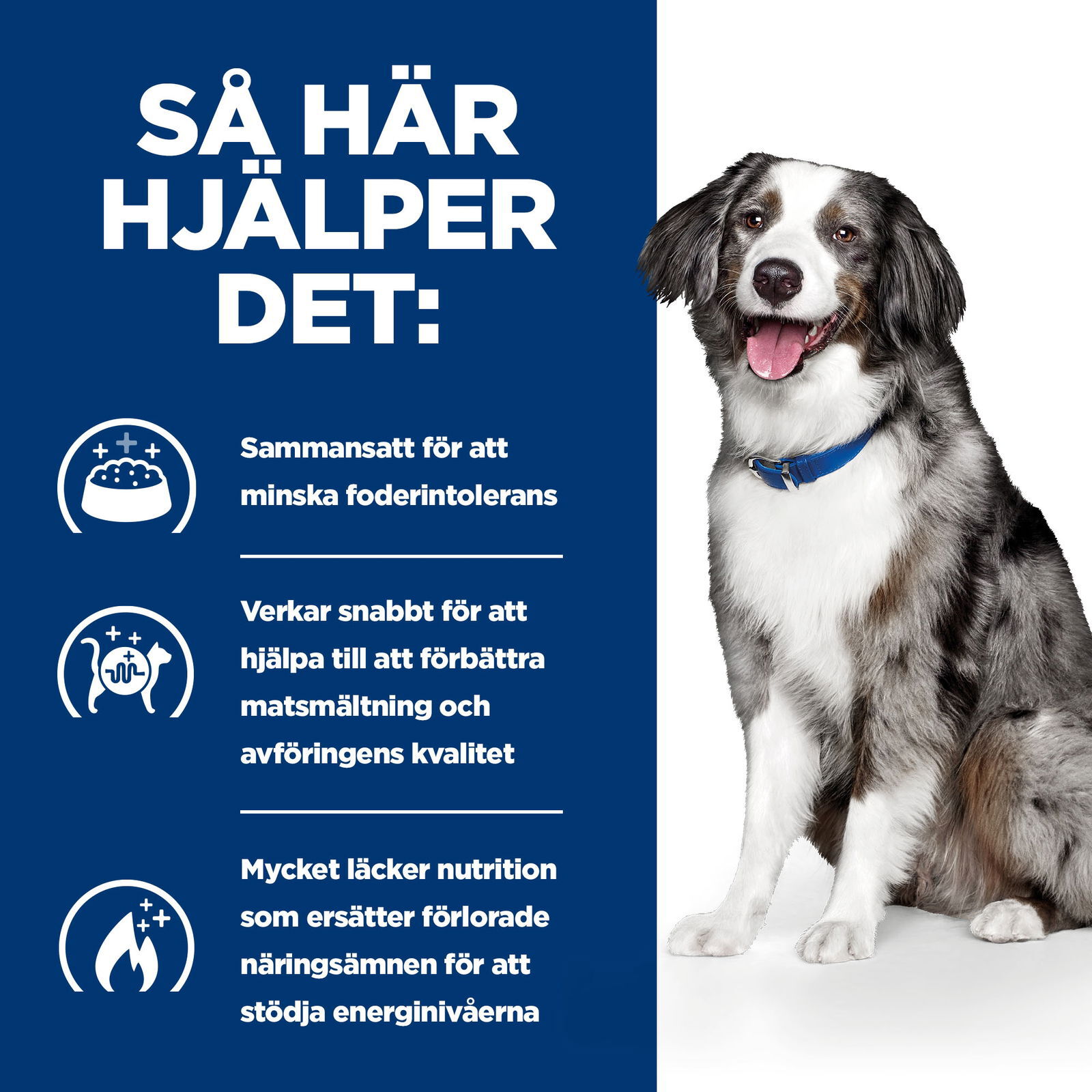 Hill's Diet Dog i/d Sensitive Egg and Rice