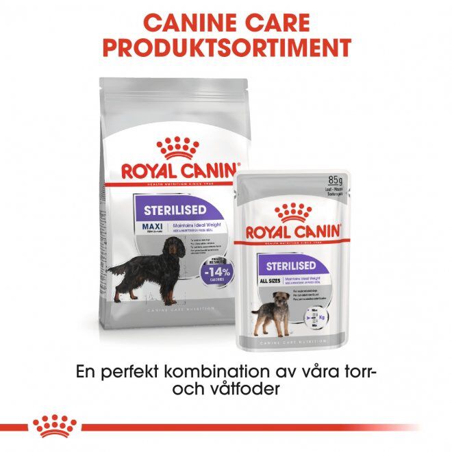 Royal Canin Sterilised Maxi Adult torrfoder för hund
