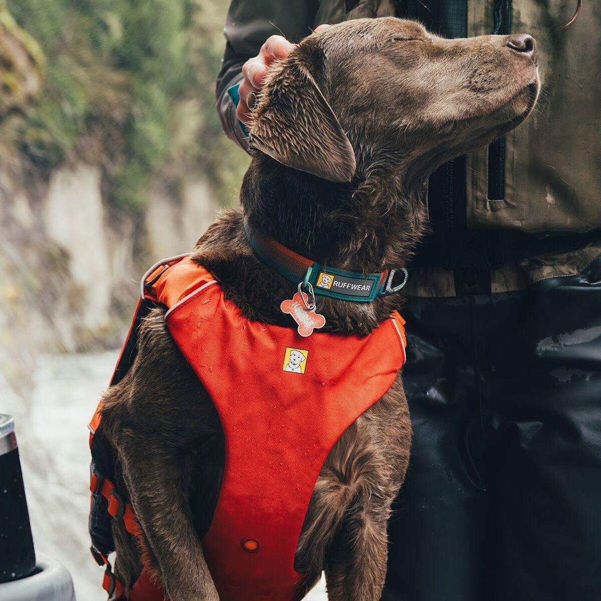 Ruffwear Confluence life jacket, Tangelo Orange