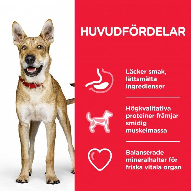 Hill's Science Plan Dog Adult Performance