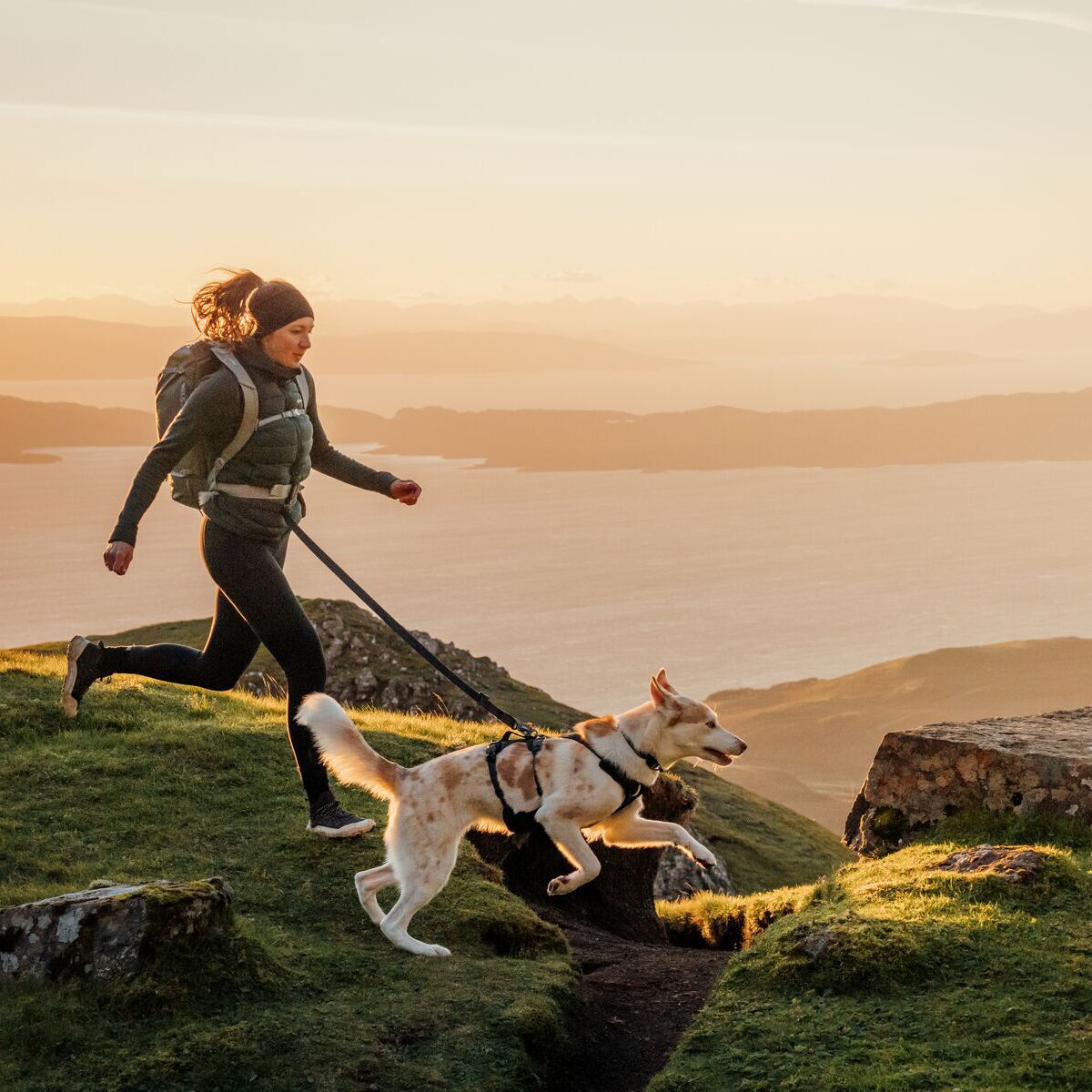 Ruffwear Ridgeline Leash