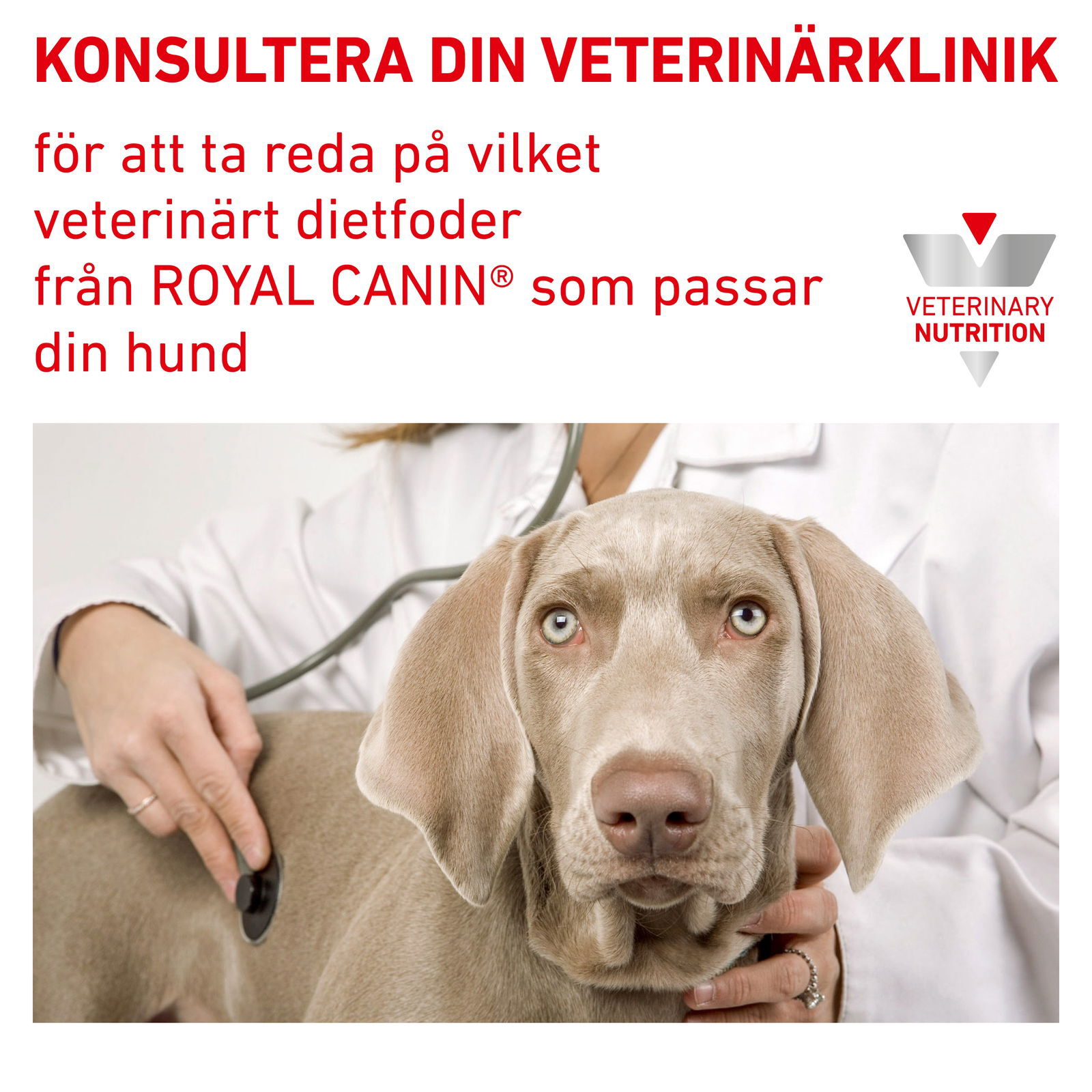 Royal Canin Veterinary Diets Urinary S/O Ageing 7+ våtfoder för hund