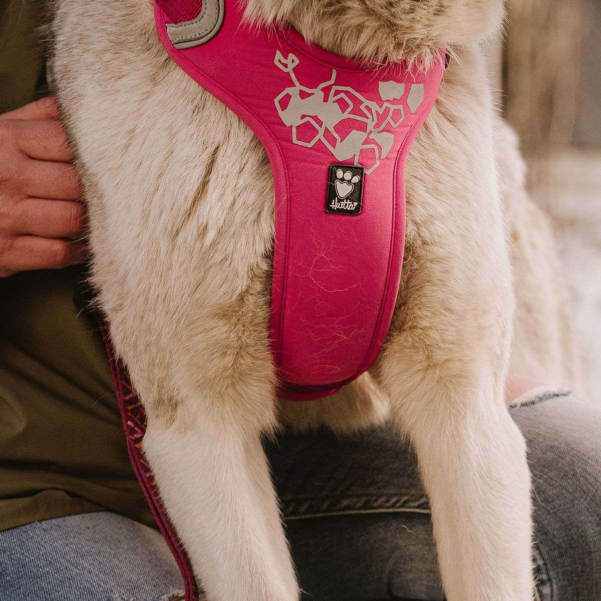 Hurtta Weekend Warrior harness, ruby