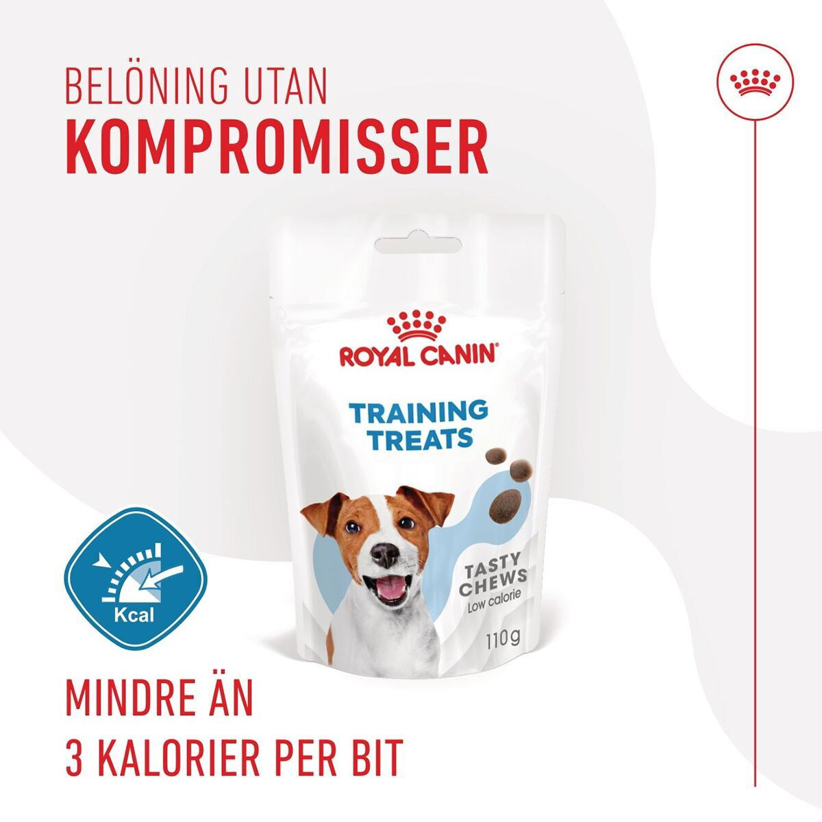 Royal Canin Dog Training Treats 110g