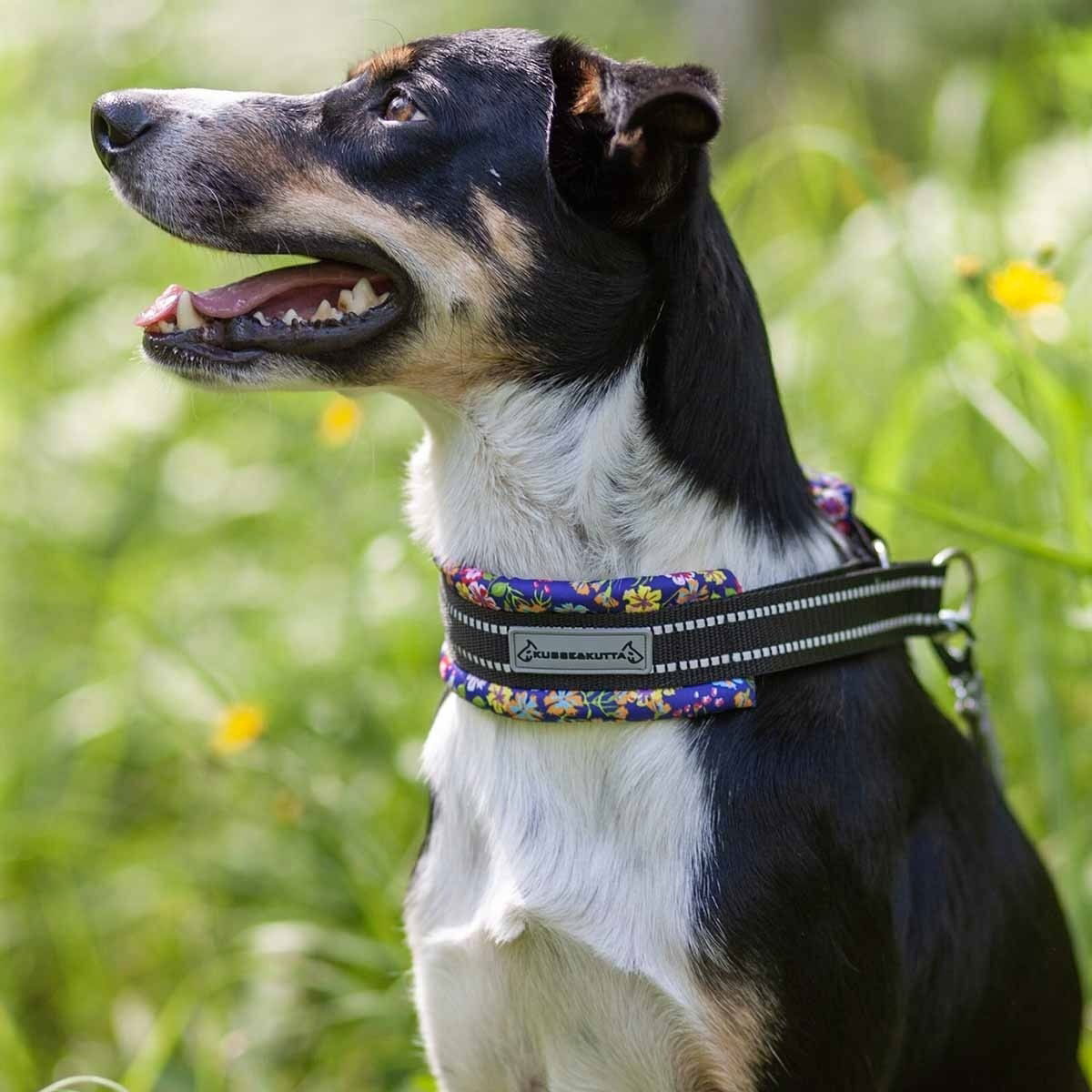 Kusse&Kutta half choke collar, extrawide, lycra, small flowers
