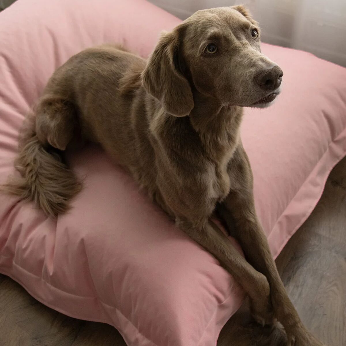 PAIKKA Lazy Hundbädd Rosa