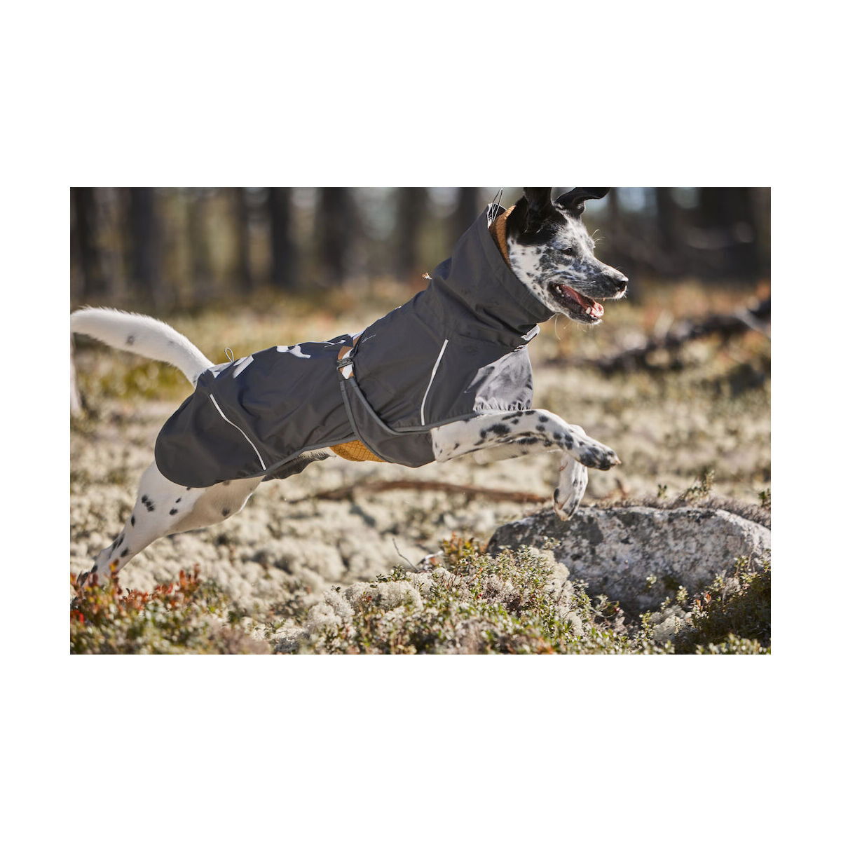 Hurtta Mudventure Coat ECO blackberry