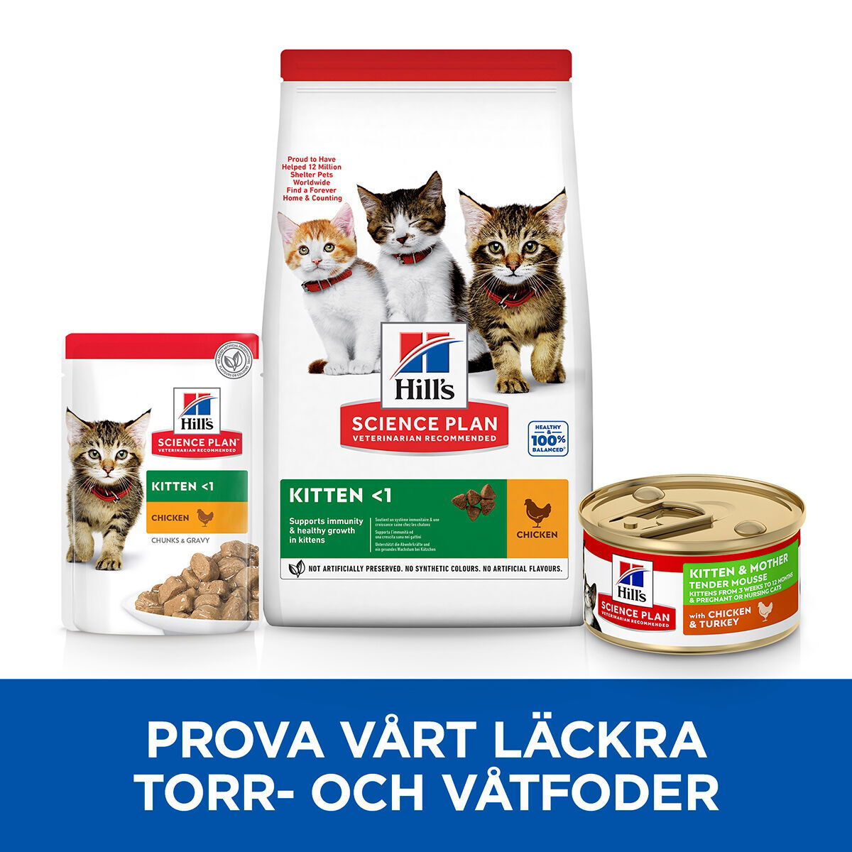 Hill's SP Feline & Kitten Tender Mousse 85g