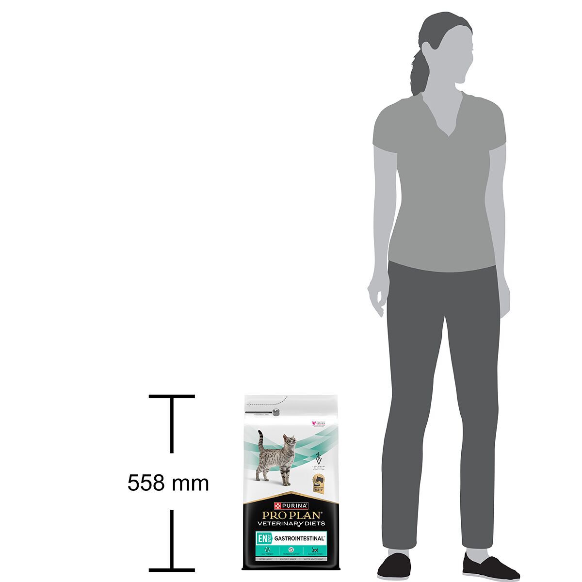PP VD Cat EN Ganstrointestinal