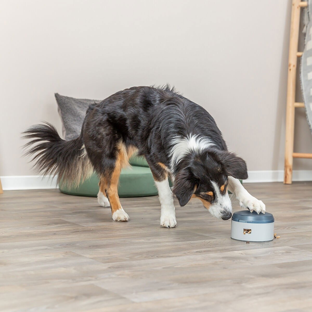 Trixie Dog Activity Buzzer ø 14 × 9.5 cm