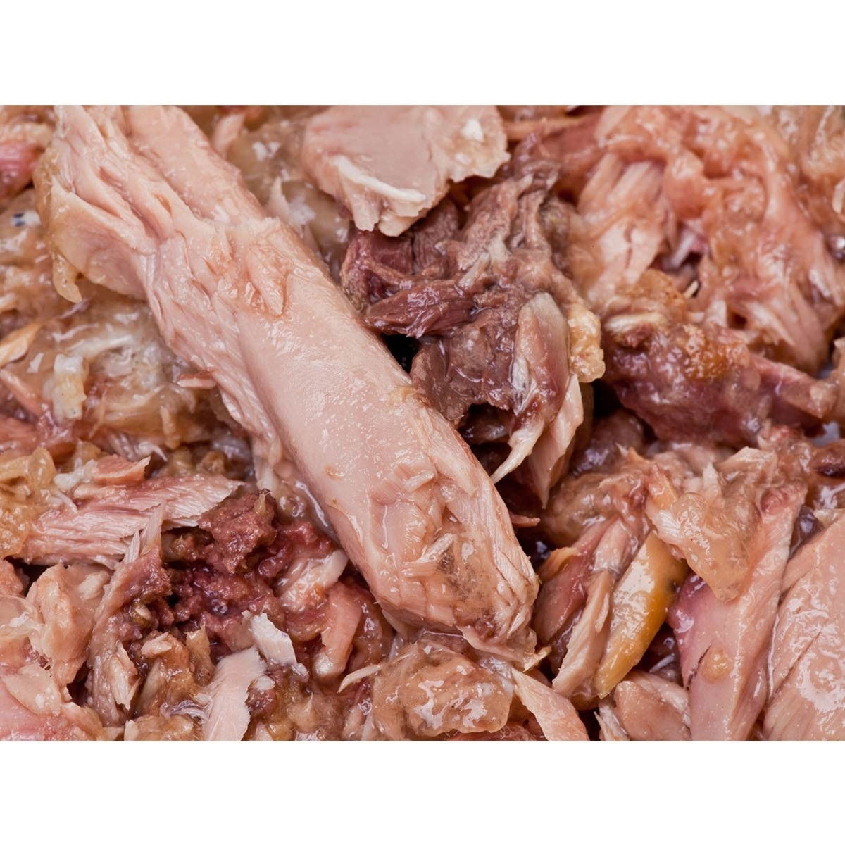 Feline Porta 21 tonfisk & shirasu