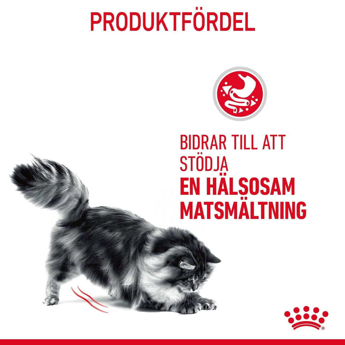 Royal Canin Digestive Care Adult torrfoder för katt