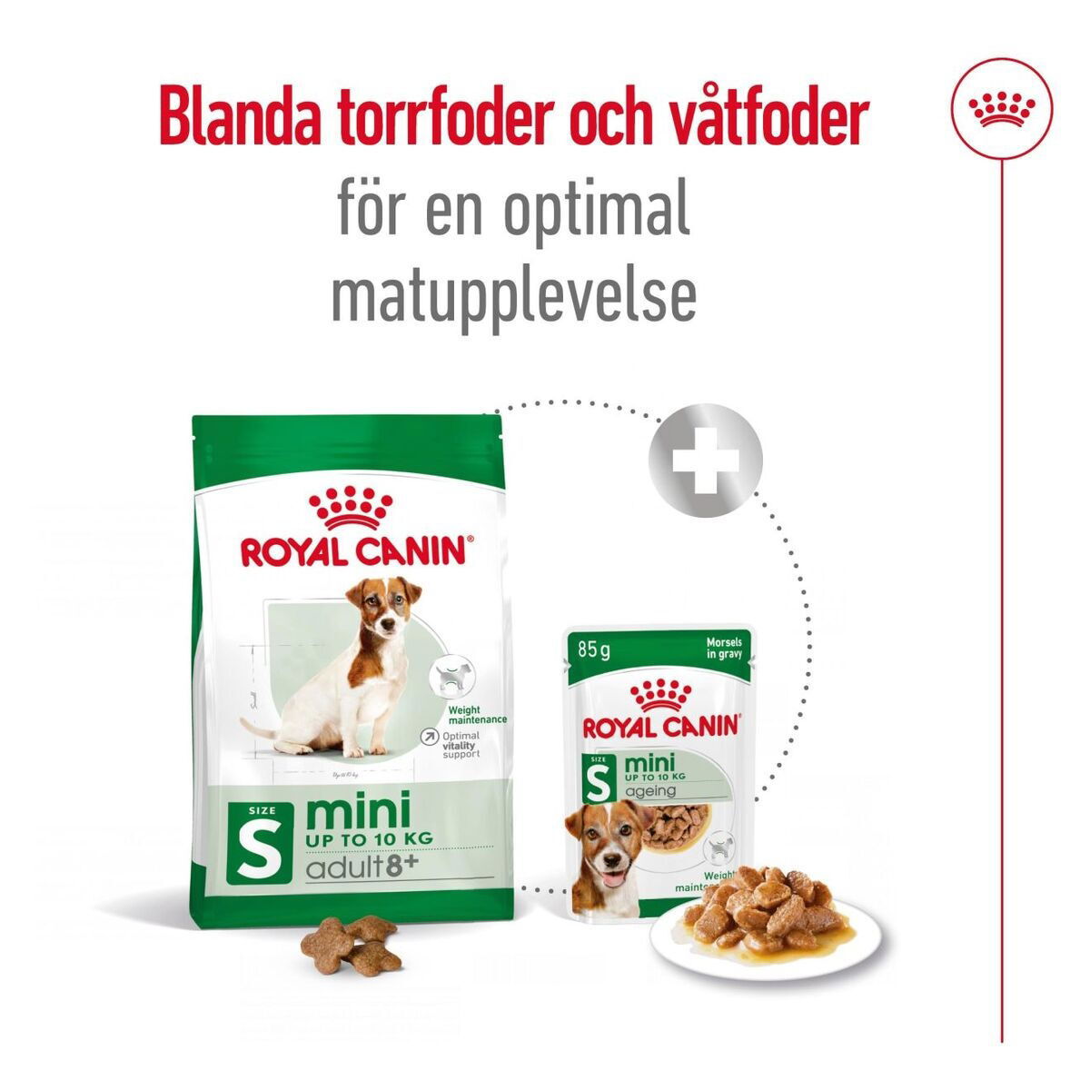 Royal Canin Mini Adult 8+ torrfoder för hund