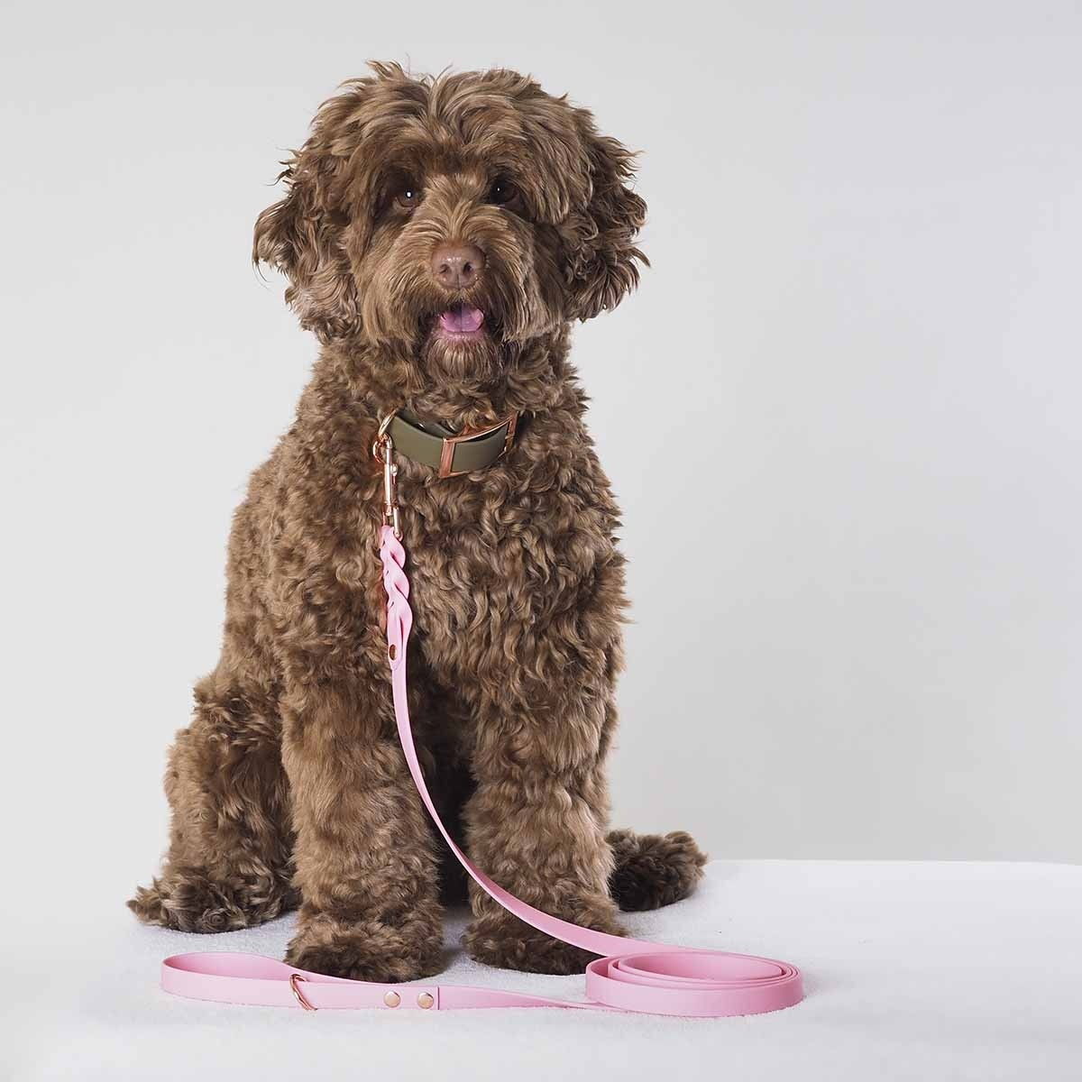 Tyylivoitto Braid leash, light pink