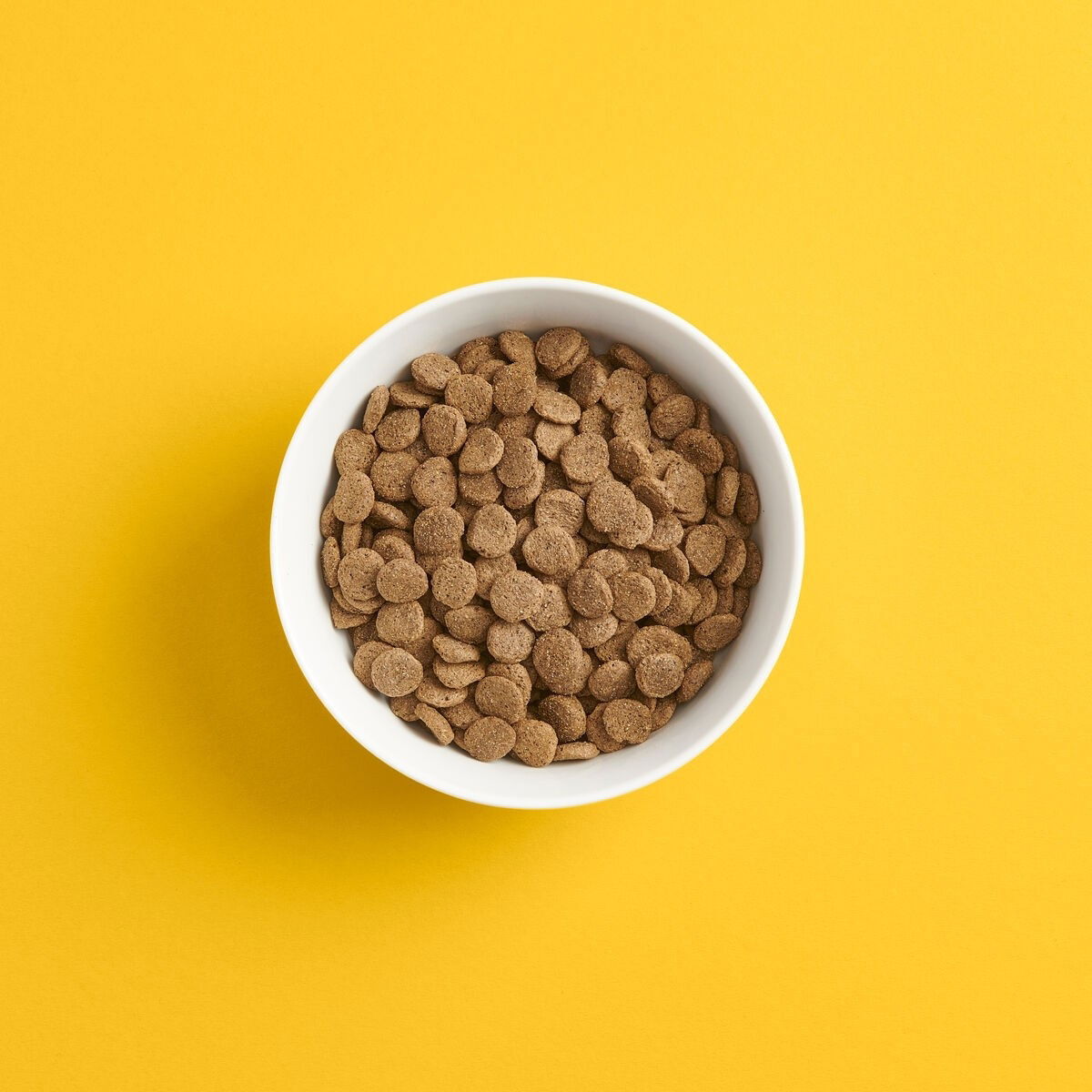 SMAAK Dog Adult Grain Free Pork and Lamb