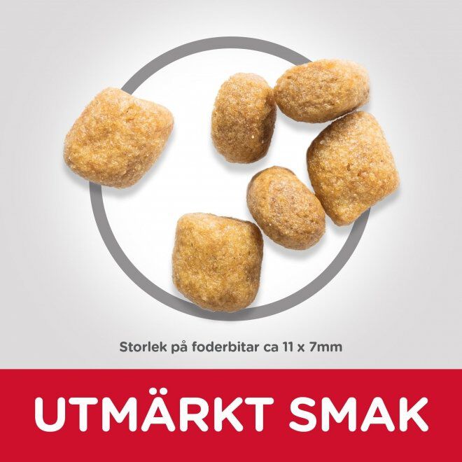 Hills Science Plan Feline Adult Oral Care