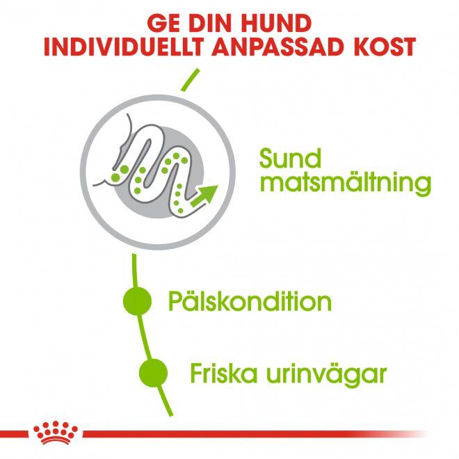 Royal Canin X-small Adult torrfoder för hund