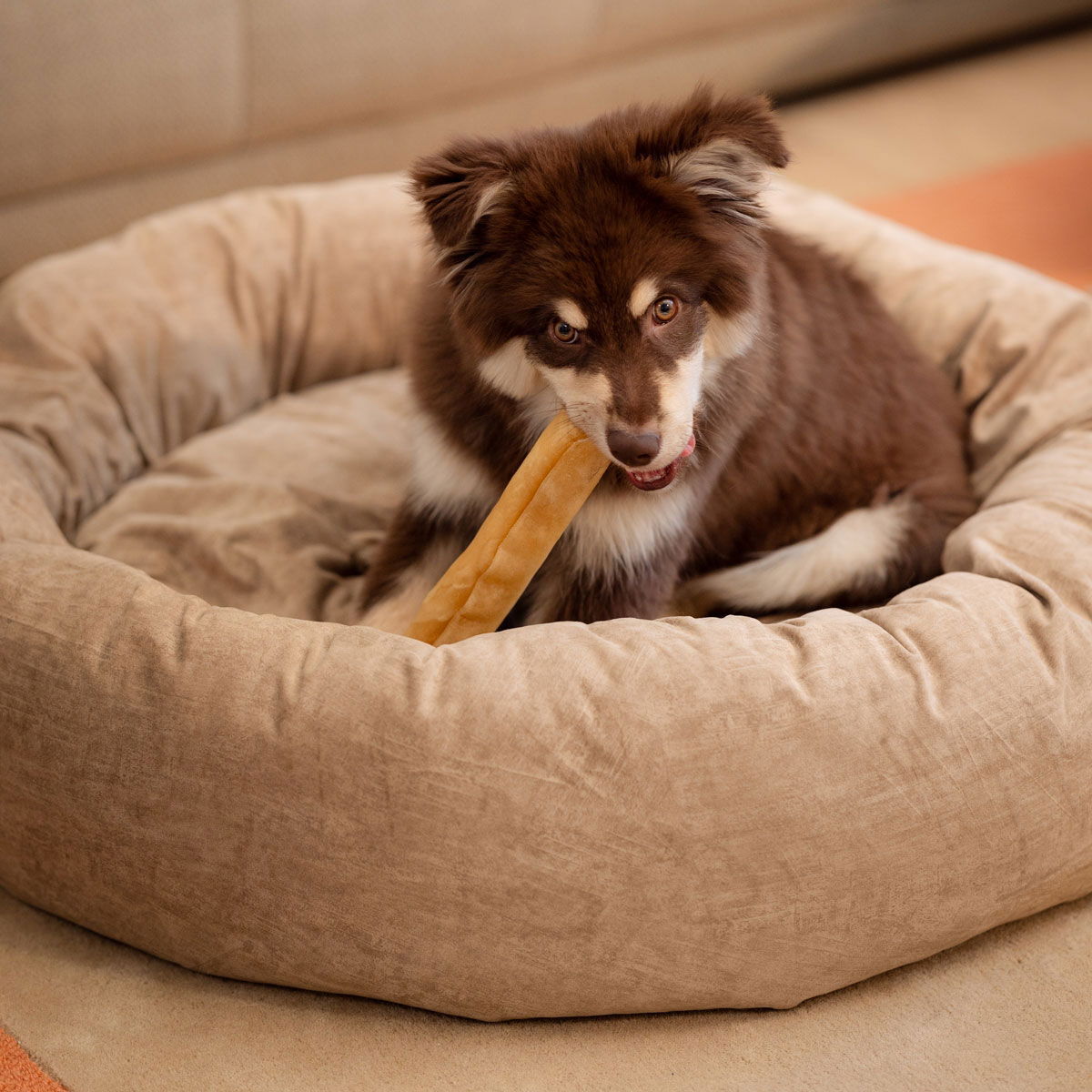 Scruffs Oslo donut bed desert sand